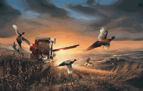 (image for) Evening Surprise Encore Canvas